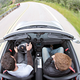 Illustration for article titled 2011 Porsche Boxster Spyder: First Drive